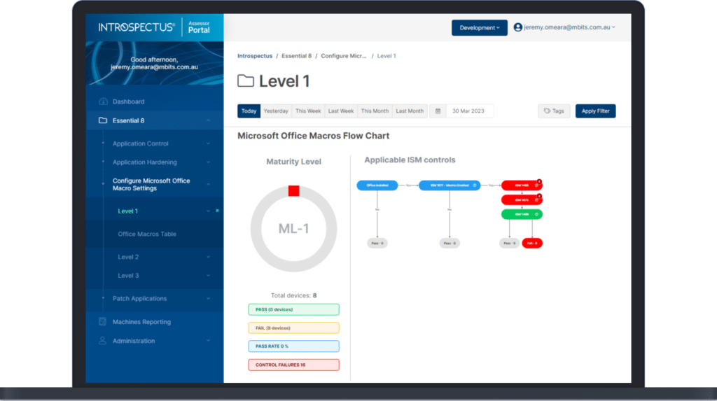 Introspectus Assessor Microsoft Office Macros